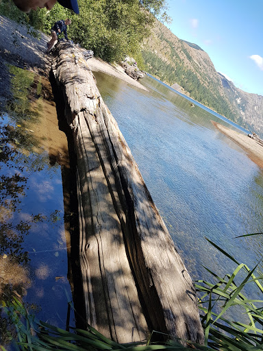 National Reserve «Mount St. Helens National Volcanic Monument», reviews and photos, 3029 Spirit Lake Hwy, Castle Rock, WA 98611, USA