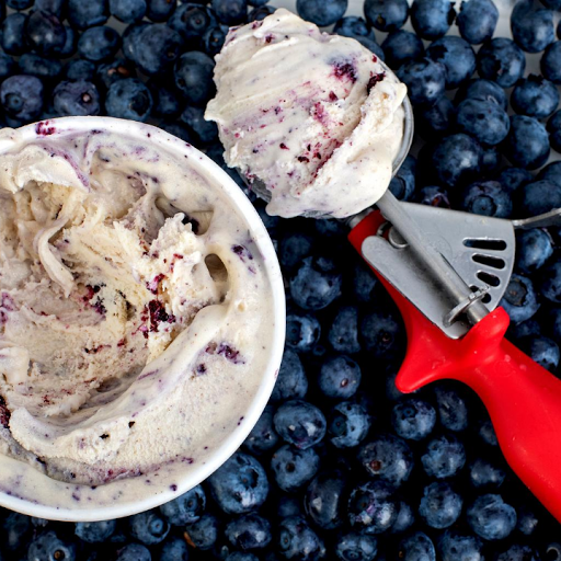 Ice Cream Shop «Black Dog Gelato», reviews and photos, 859 N Damen Ave, Chicago, IL 60622, USA