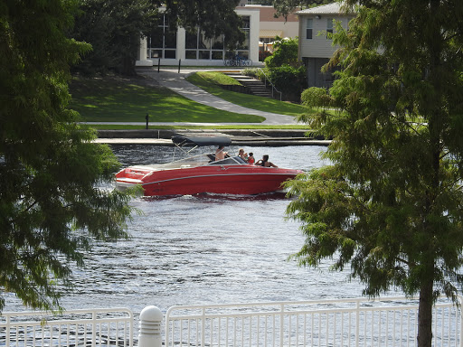 Park «Curtis Hixon Waterfront Park», reviews and photos, 600 N Ashley Dr, Tampa, FL 33602, USA