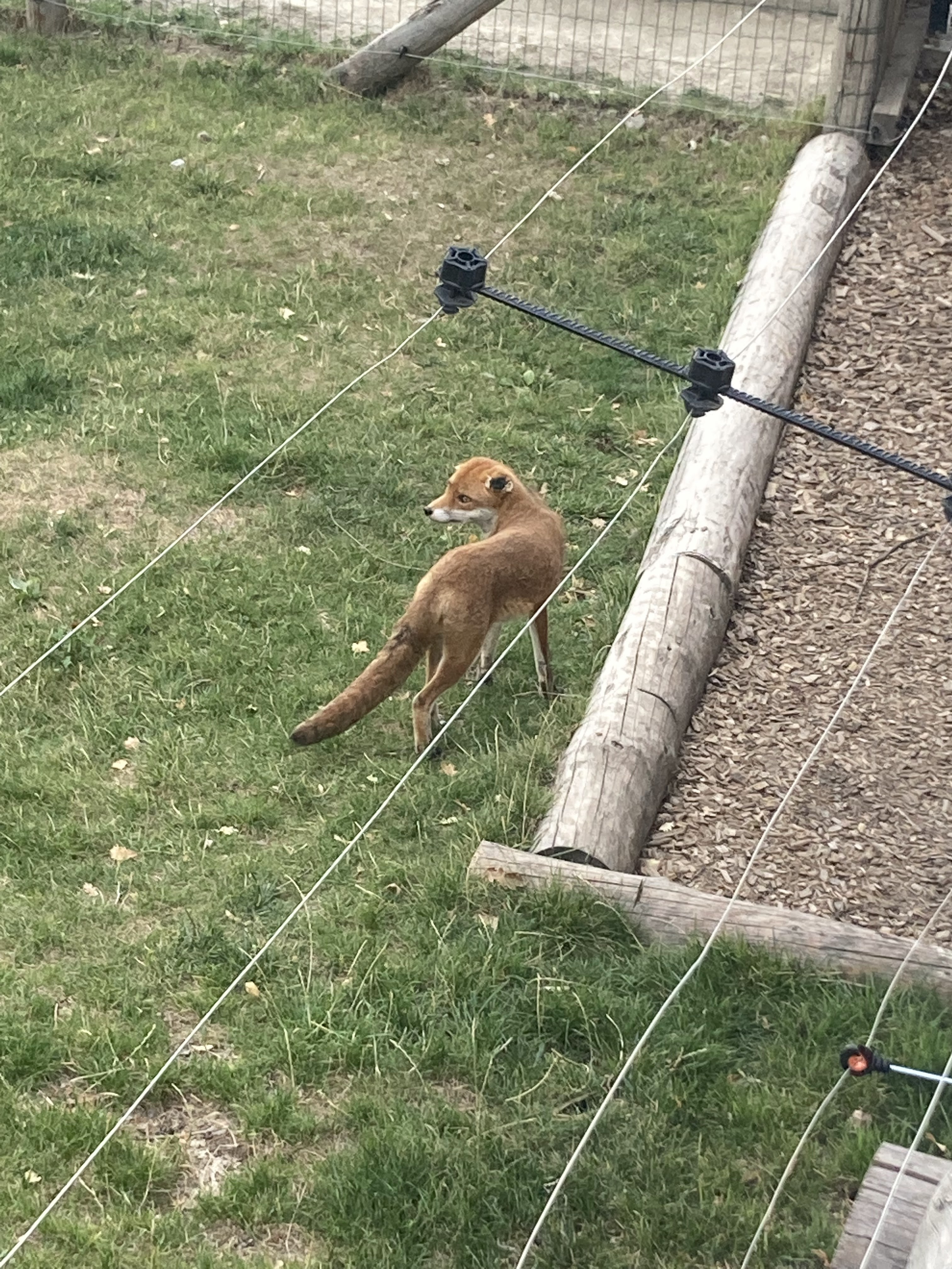 Photo n° 3 de l'avis de Laurianne.o fait le 26/08/2022 à 16:16