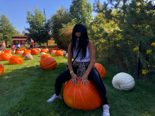 Gift Shop «Meijer Gardens Gift Shop», reviews and photos, 1000 E Beltline Ave NE, Grand Rapids, MI 49525, USA