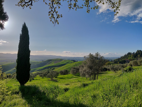 Photos des visiteurs Maison d'hôtes Agriturismo Villa Opera 56048 Volterra