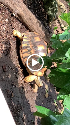 Zoo «Zoo Atlanta», reviews and photos, 800 Cherokee Ave SE, Atlanta, GA 30315, USA