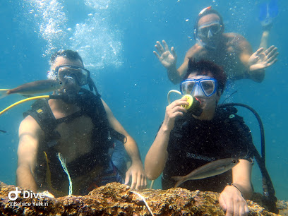 Antalya Scuba Diving Natdive