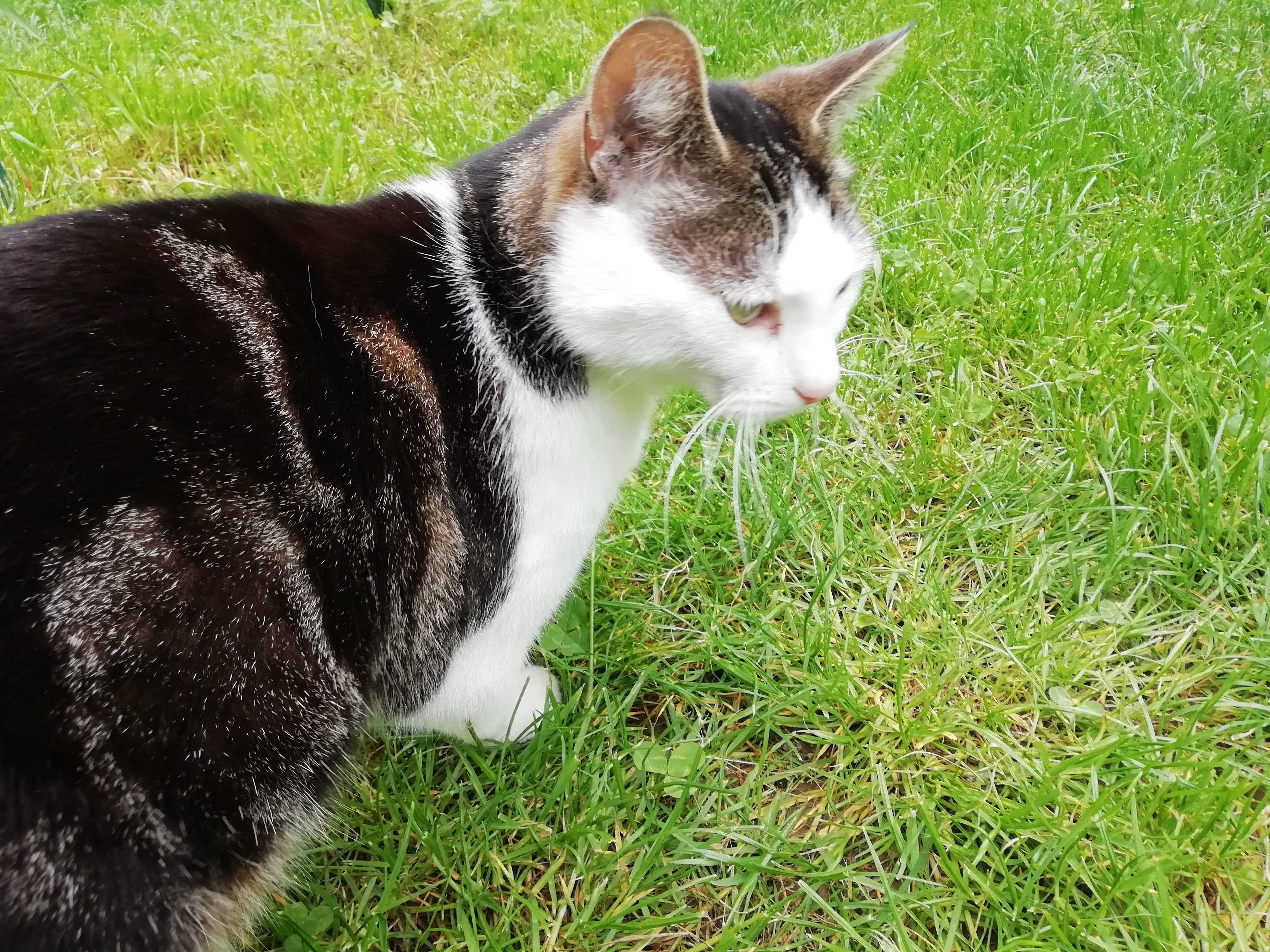 Photo n° 1 de l'avis de olivier.O fait le 22/05/2019 à 11:39