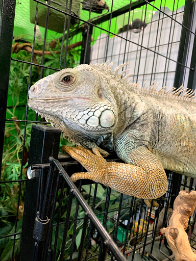 Pet Store «Parker Exotic Pets», reviews and photos, 17880 Cottonwood Dr, Parker, CO 80134, USA