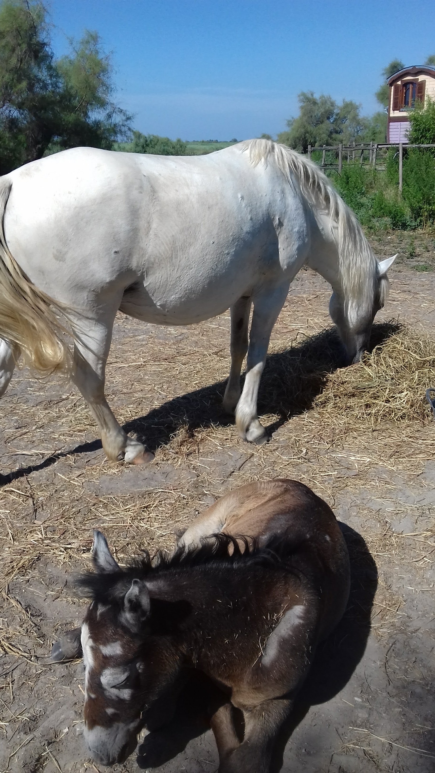 Photo n° 1 de l'avis de Dominique.a fait le 09/07/2018 à 11:24
