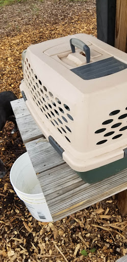 Dog Park «Stillwater MN Dog Park», reviews and photos, 148 Myrtlewood Ct, Stillwater, MN 55082, USA