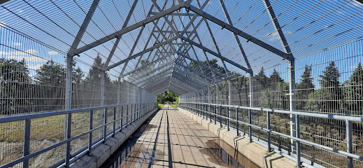 Conestoga Walking Bridge