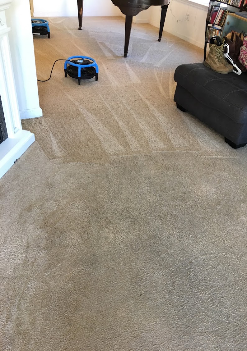 Imperial Carpet Cleaning