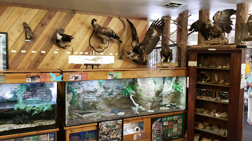 Tourist Information Center «Woodlands Nature Station», reviews and photos, 3146 Silver Trail Rd, Cadiz, KY 42211, USA