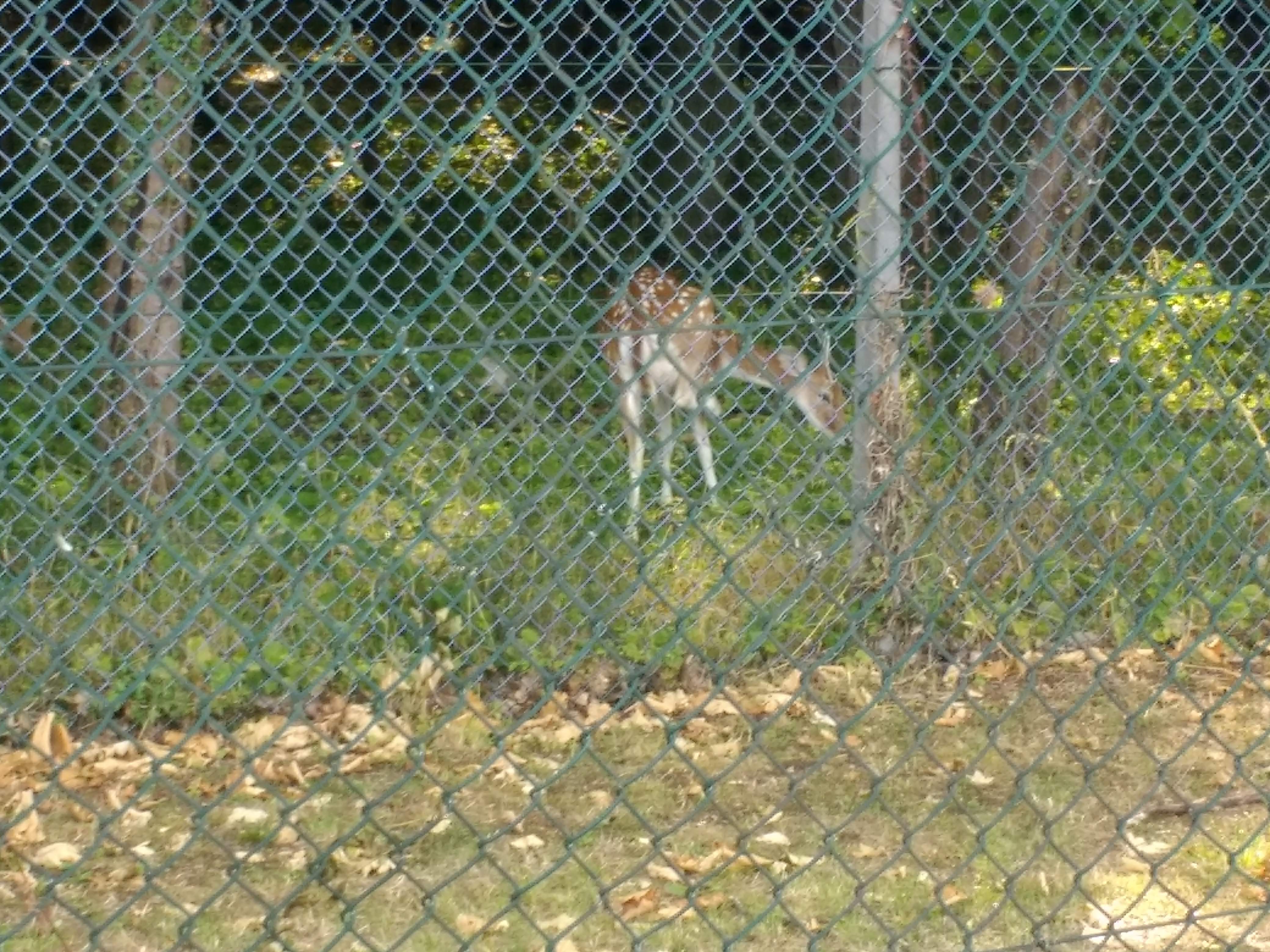 Photo n° 1 de l'avis de ANTOINE.E fait le 15/08/2019 à 19:52
