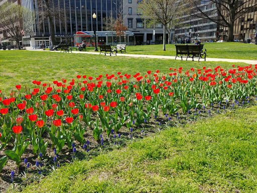 Memorial Park «Martin Luther King, Jr. Memorial», reviews and photos, 1964 Independence Ave SW, Washington, DC 20024, USA