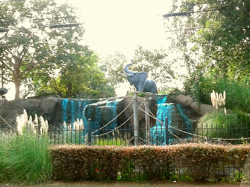 Amusement Park «Adventure Landing Raleigh», reviews and photos, 3311 Capital Blvd, Raleigh, NC 27604, USA