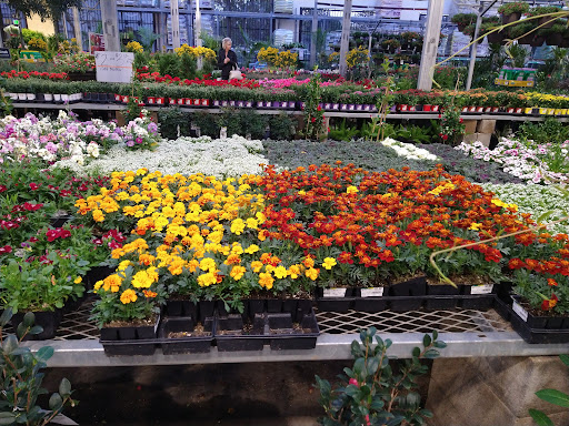 Home Improvement Store «The Home Depot», reviews and photos, 6140 Hamner Ave, Mira Loma, CA 91752, USA