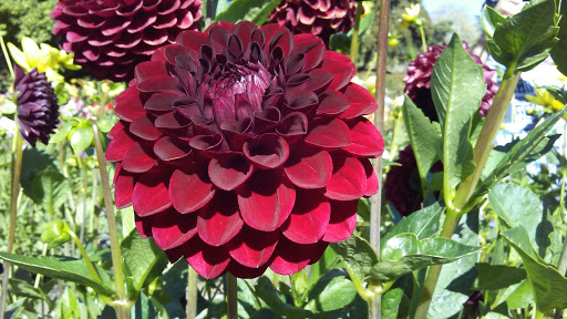 Park «Marine View Park», reviews and photos, 20945 Marine View Dr SW, Normandy Park, WA 98166, USA