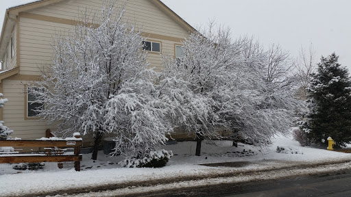 Golf Course «Red Hawk Ridge Golf Course», reviews and photos, 2156 Red Hawk Ridge Dr, Castle Rock, CO 80109, USA