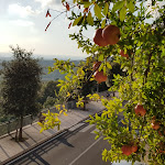 Photo n°2 de l'avis de Alfonso.a fait le 29/09/2019 à 16:21 sur le  La Torretta à Giungano