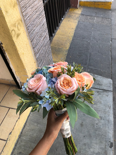 Florería El Tulipán – San Agustin
