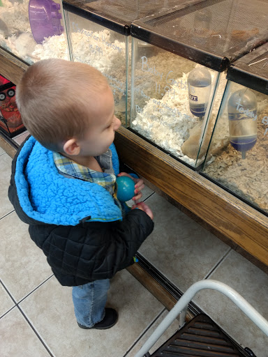 Pet Store «Animal Ark Pet Stores», reviews and photos, 33 Center St, Orem, UT 84057, USA