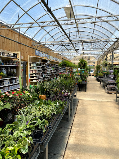Garden Center «Stauffers of Kissel Hill Home & Garden Store», reviews and photos, 4450 Lincoln Hwy, York, PA 17406, USA