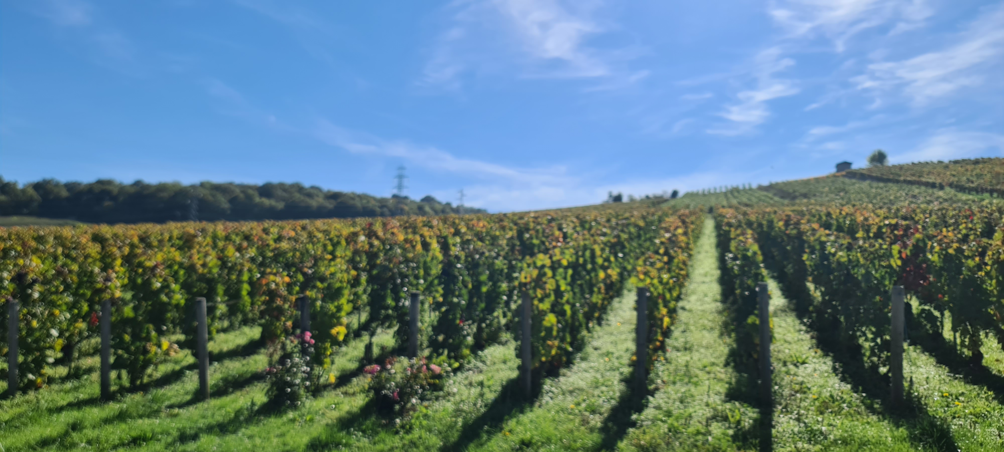 Photo n° 4 de l'avis de V... fait le 04/10/2022 à 16:31