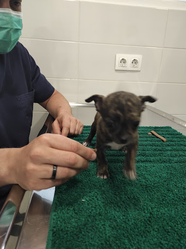 Clínica Veterinaria Los Prados en Oviedo