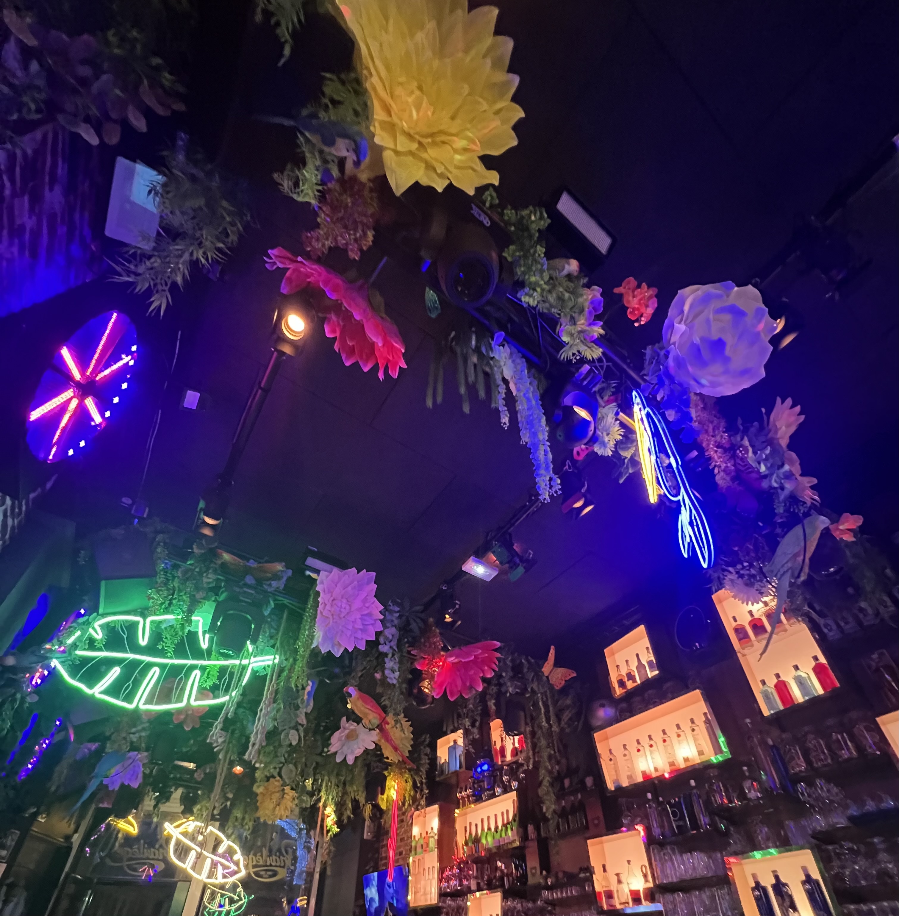 Photo n° 1 de l'avis de Sylvain. fait le 07/09/2023 à 20:22