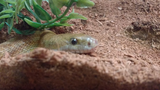 Government Office «Bear Hollow Wildlife Trail», reviews and photos, 293 Gran Ellen Dr, Athens, GA 30606, USA