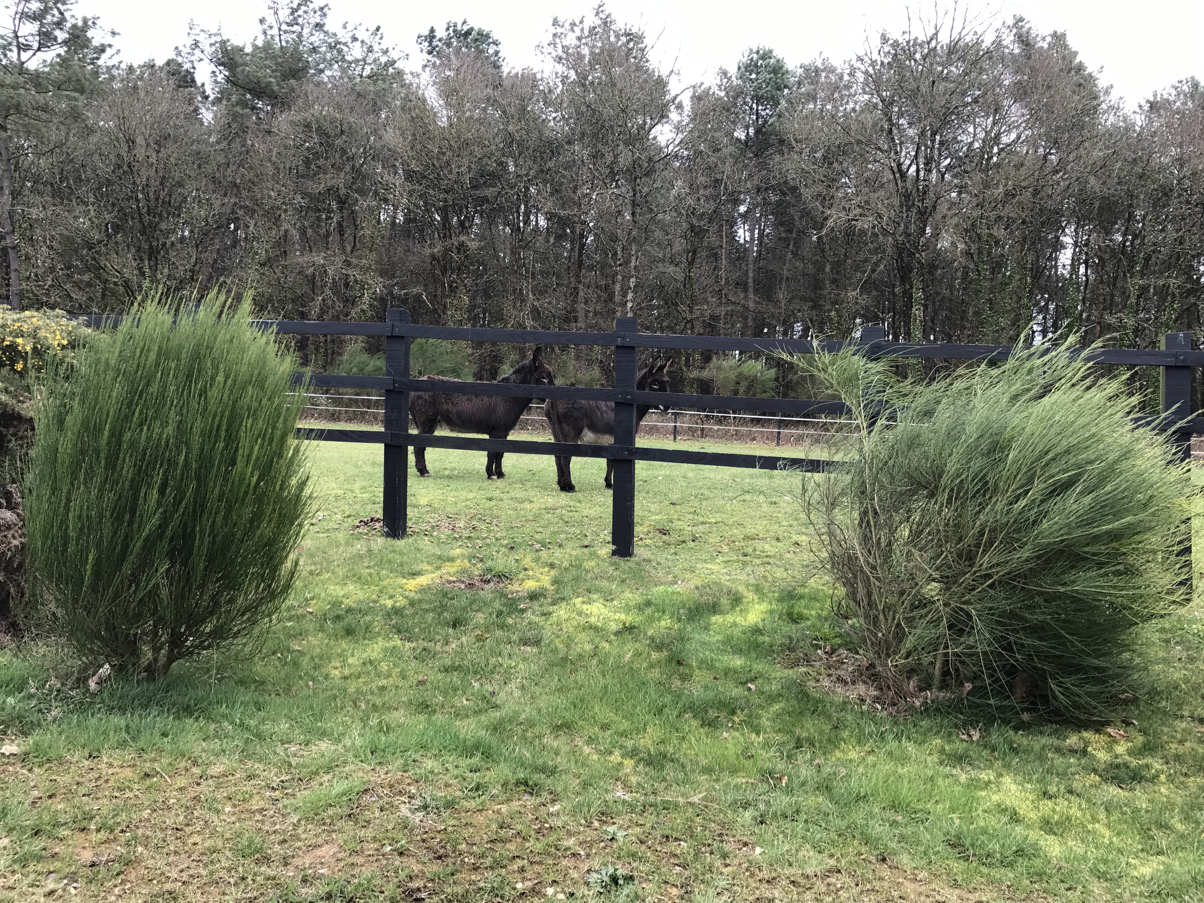 Photo n° 5 de l'avis de Sylvain.A fait le 08/03/2017 à 09:54