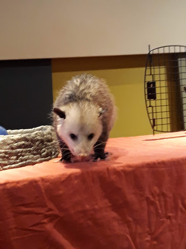 Museum «EcoTarium», reviews and photos, 222 Harrington Way, Worcester, MA 01604, USA