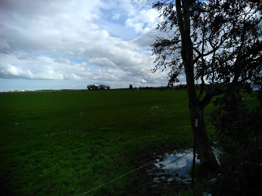 Grocery Store «Bonfare Market», reviews and photos, 2301 Walters Rd, Fairfield, CA 94533, USA