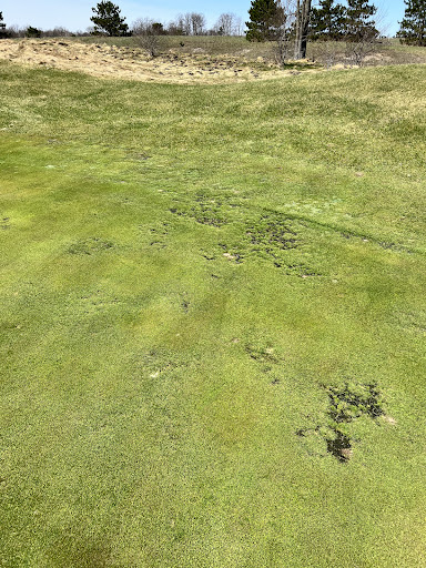 Golf Course «Mistwood Golf Course», reviews and photos, 7568 Ole White Dr, Lake Ann, MI 49650, USA