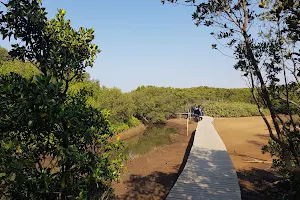 Beachwood Mangroves Nature Reserve image