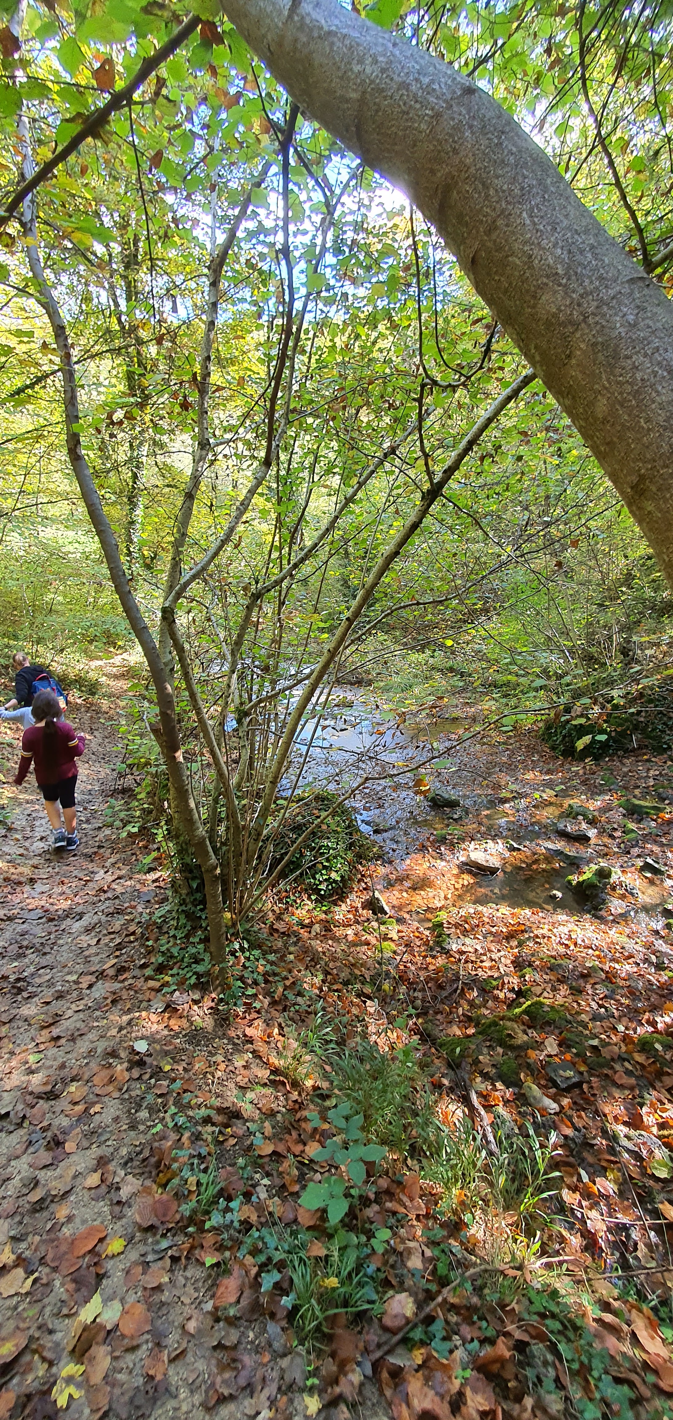 Photo n° 8 de l'avis de Chamroeun.H fait le 23/10/2022 à 13:52