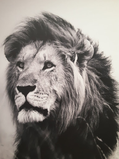 Clothing Store «Ross Dress for Less», reviews and photos, 330 N Hwy 67, Cedar Hill, TX 75104, USA