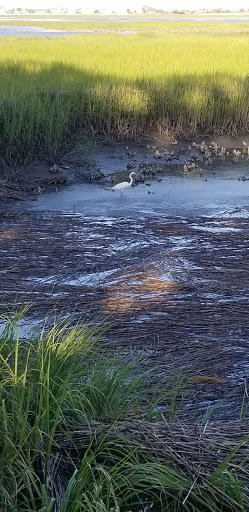 Park «Morse Park Landing», reviews and photos, 4939 US-17 BUS, Murrells Inlet, SC 29576, USA