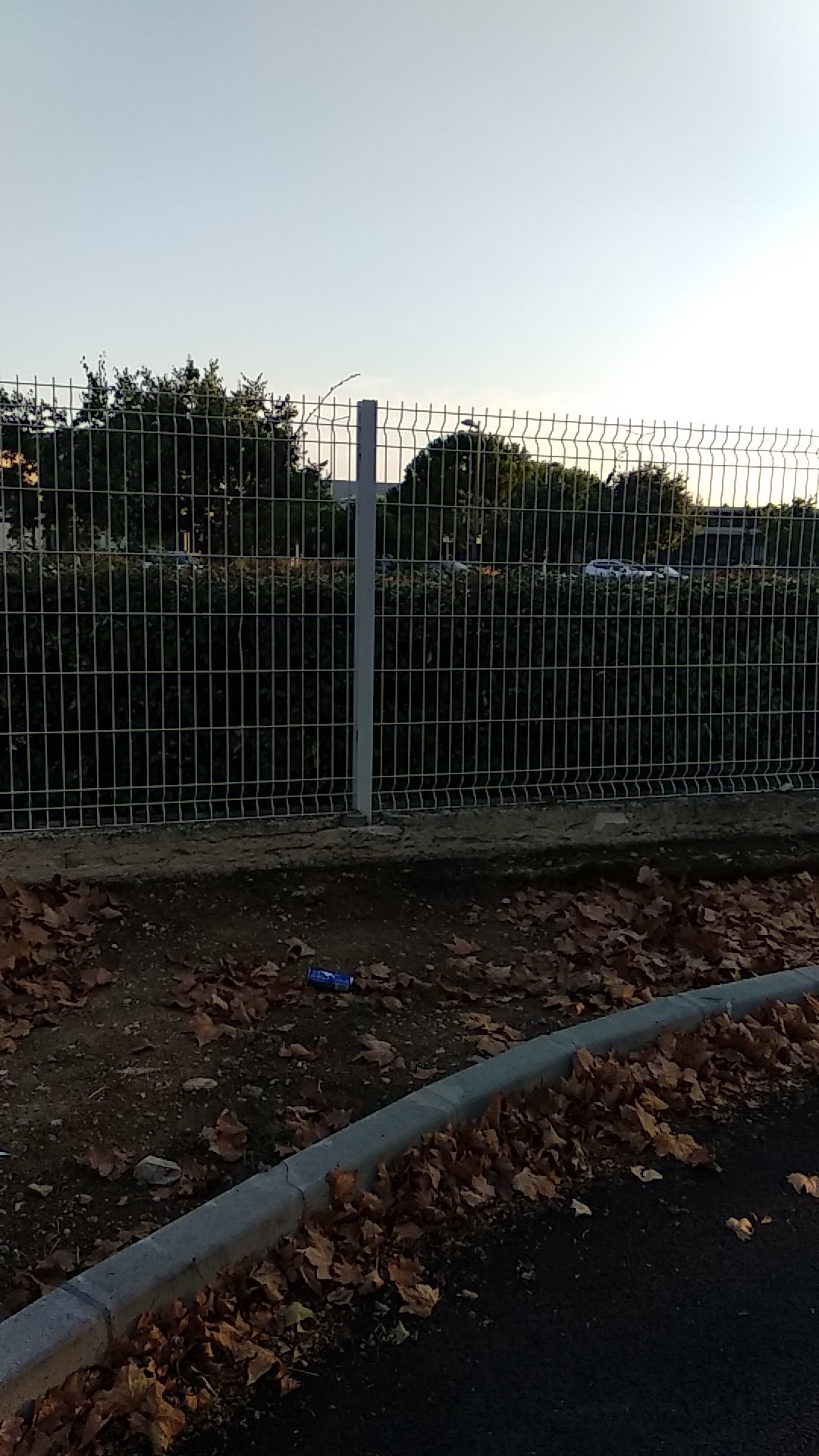 Photo n° 23 de l'avis de Ruchi. fait le 14/08/2022 à 18:01