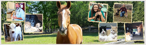 1269 Main St, Glastonbury, CT 06033, USA