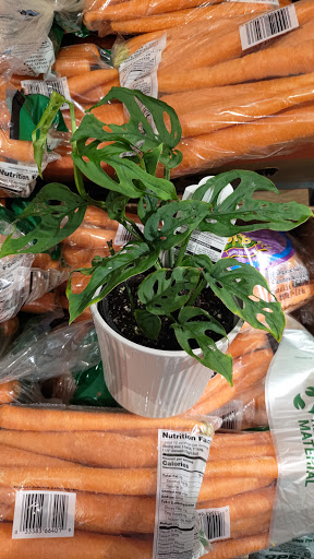 Supermarket «Best Market Massapequa», reviews and photos, 5601 Merrick Rd, Massapequa, NY 11758, USA