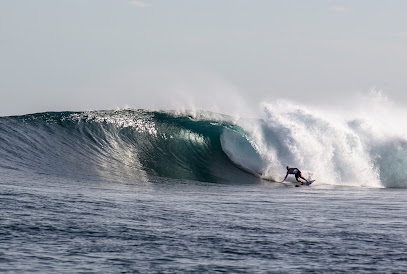 Pacific Dreams Surfboards
