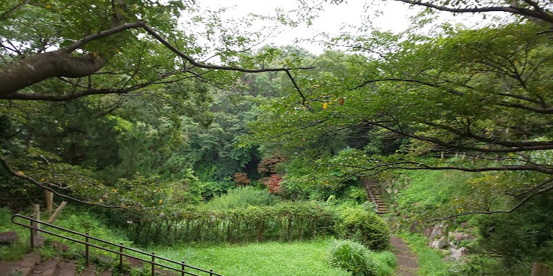 鎌倉中央公園 庭園植物園