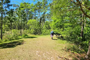 UCF Arboretum image