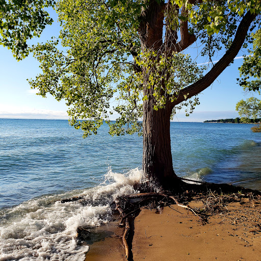 State Park «Lakeport State Park», reviews and photos, 7605 Lakeshore Rd, Lakeport, MI 48059, USA