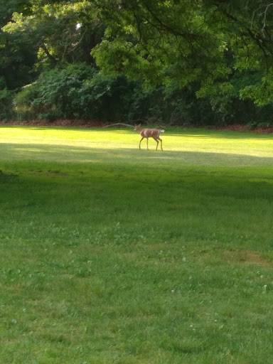 Golf Course «Christopher Morley Park Golf», reviews and photos, 500 Searingtown Rd, Roslyn, NY 11576, USA
