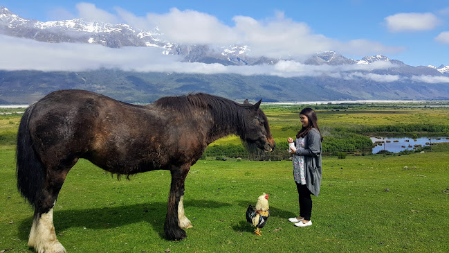Glenorchy Animal Experience - Dunedin