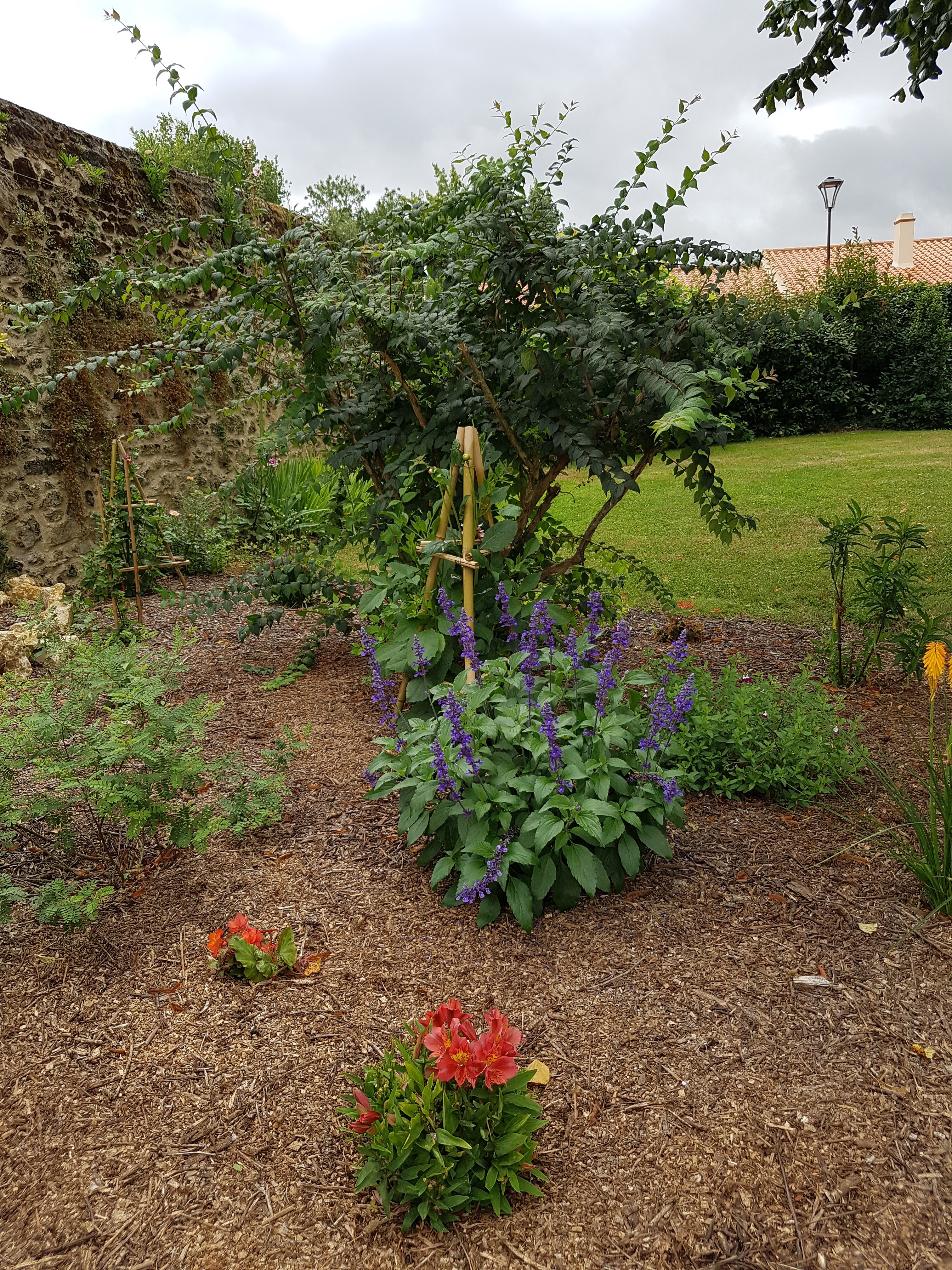 Photo n° 8 de l'avis de Hajer.a fait le 25/07/2020 à 12:52