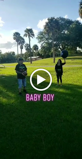 Park «MacFarlane Park», reviews and photos, 1700 N Macdill Ave, Tampa, FL 33607, USA