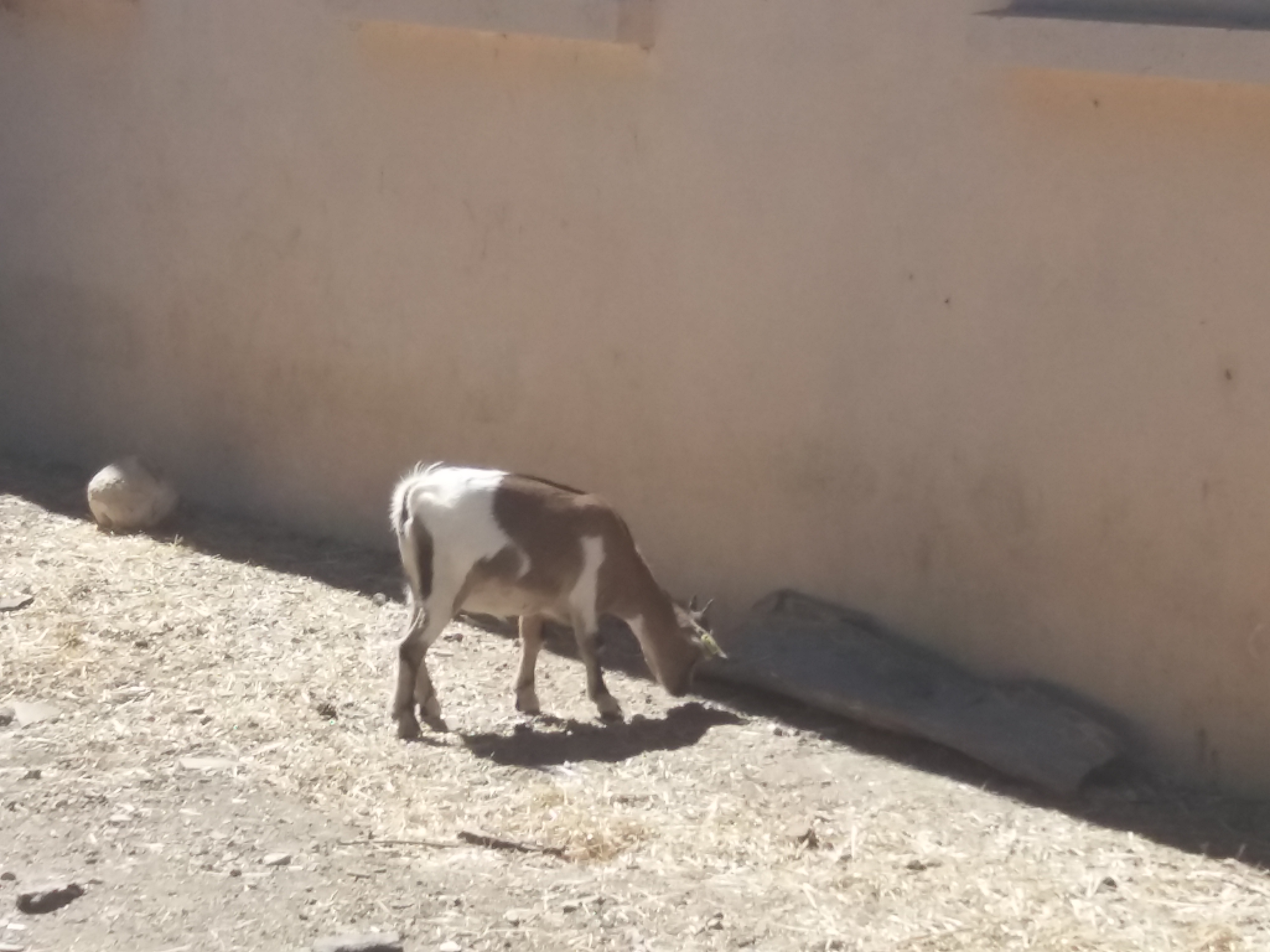 Photo n° 23 de l'avis de Damien.i fait le 21/08/2017 à 19:35