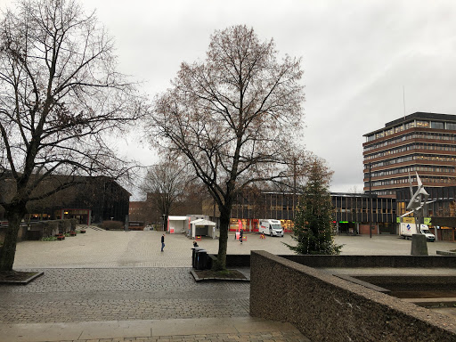 Public institutes in Oslo